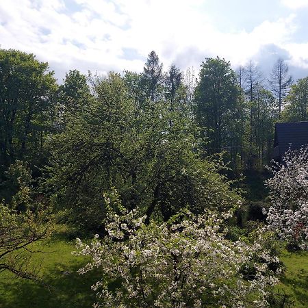 Apartament Bolek I Apartament Lolek Zakopane Ngoại thất bức ảnh