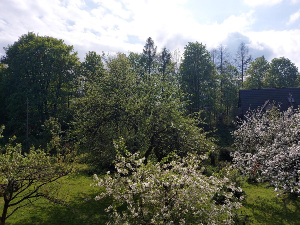 Apartament Bolek I Apartament Lolek Zakopane Ngoại thất bức ảnh